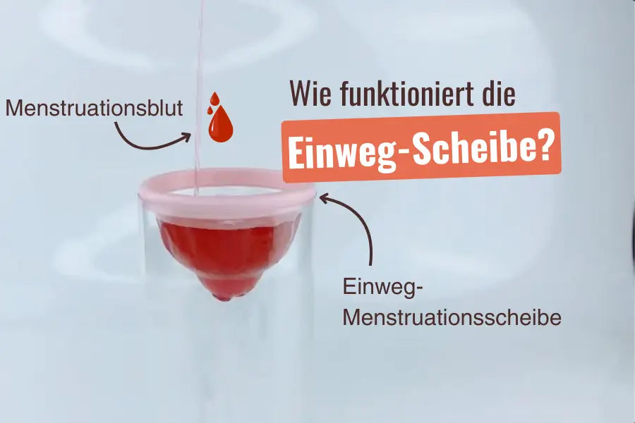 Video laden: 